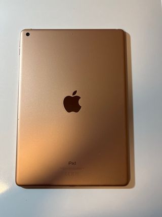 iPad 10.2 7th gen Dorado/Plateado