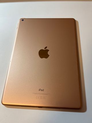 iPad 10.2 7th gen Dorado/Plateado