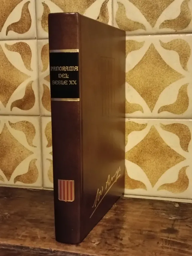 PANORAMA SEGLE XX ANY PER ANY - CAT