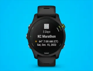 Smartwatch Garmin Forerunner 255 Negro