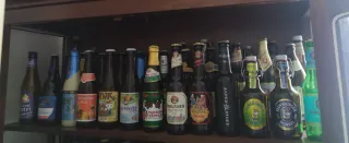 Collezione 185 bottiglie birra vuote