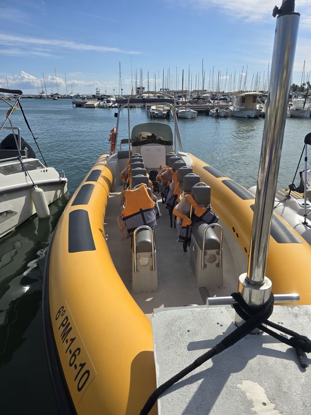 Semirrígida 860 PRO