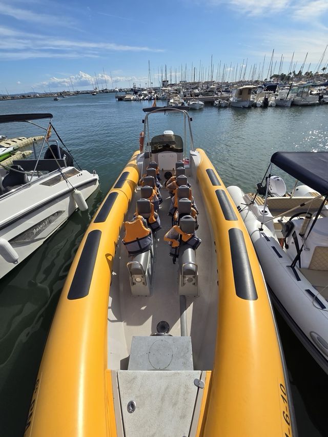 Semirrígida 860 PRO