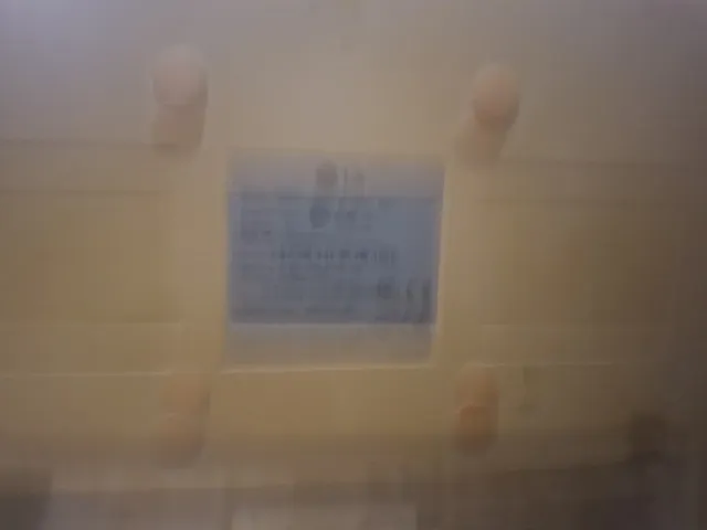 Monitor LG Gris/Plateado