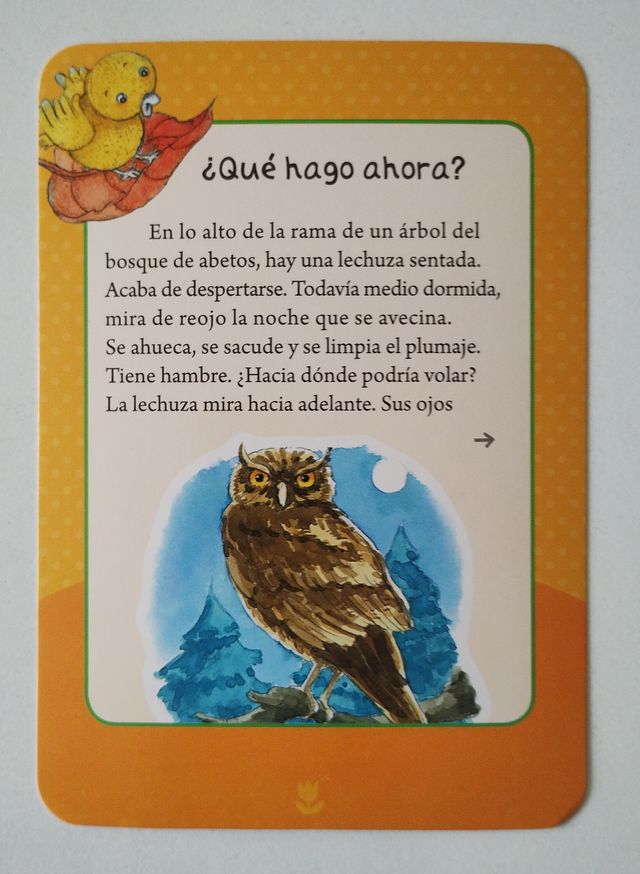 Cuentos Animales para Dormir Musical. Más 3 años