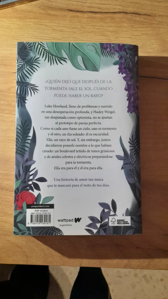 Boulevard. Libro 1 (edición revisada por la aut...