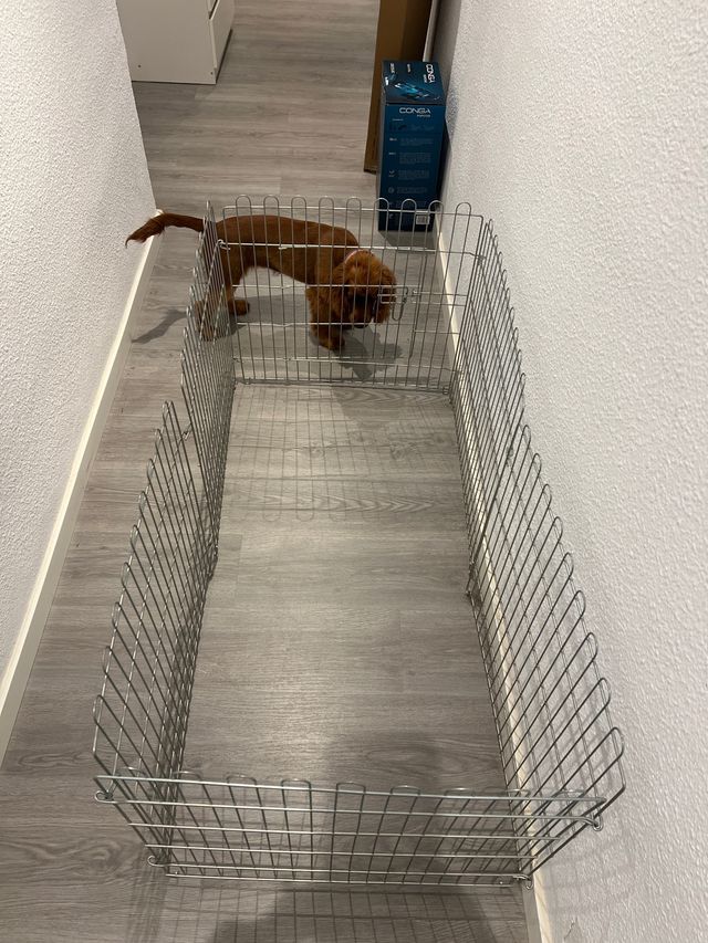 Parque para mascotas metálico