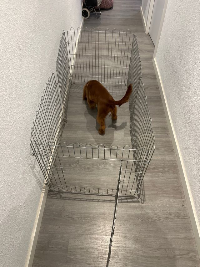 Parque para mascotas metálico