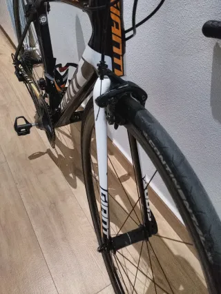 Giant TCR Advanced SL - Varios Montajes