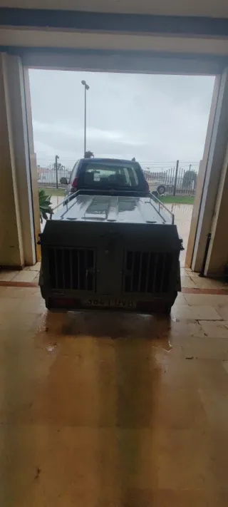 Remolque perros con freno de inercia