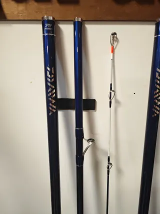 Cañas  Daiwa primer Caster 450