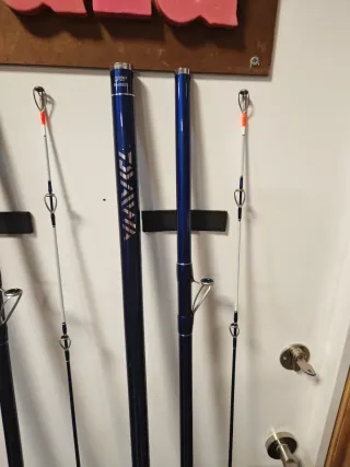 Cañas  Daiwa primer Caster 450