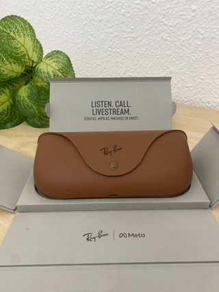 Ray-Ban Meta Wayfarer