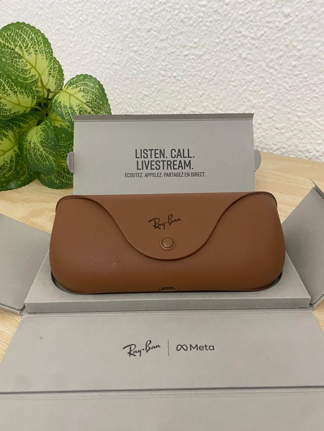 Ray-Ban Meta Wayfarer