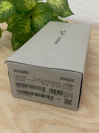 Ray-Ban Meta Wayfarer