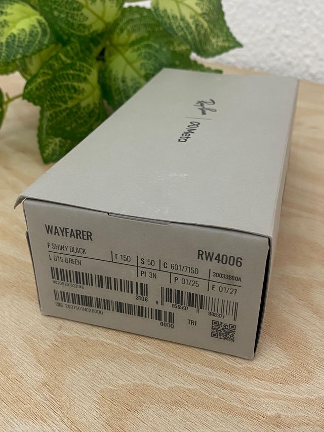 Ray-Ban Meta Wayfarer