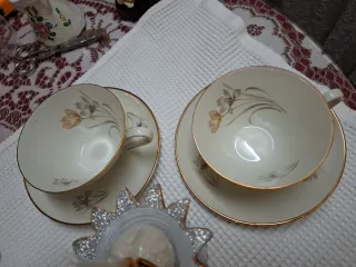 Juego de té porcelana vintage babaria año 1920