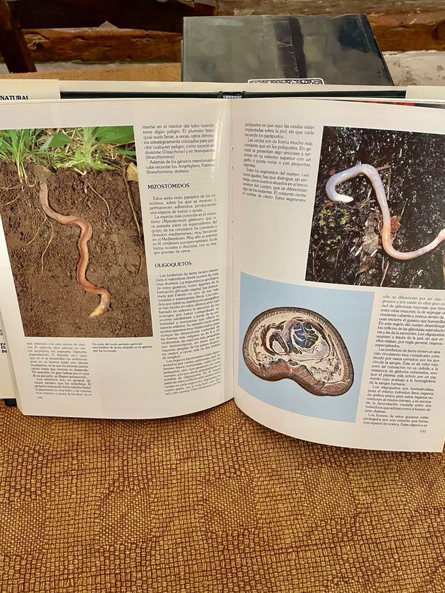 Enciclopedia Historia Natural