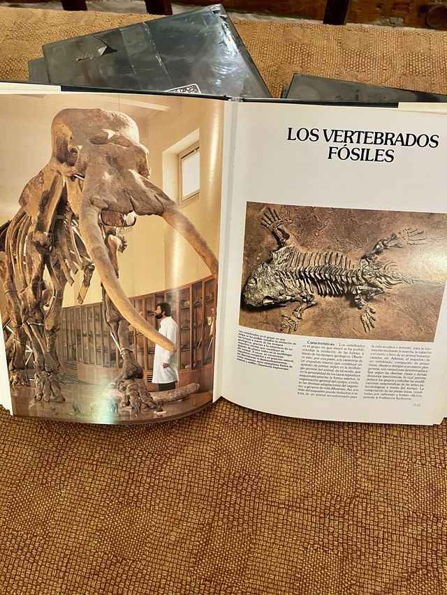 Enciclopedia Historia Natural