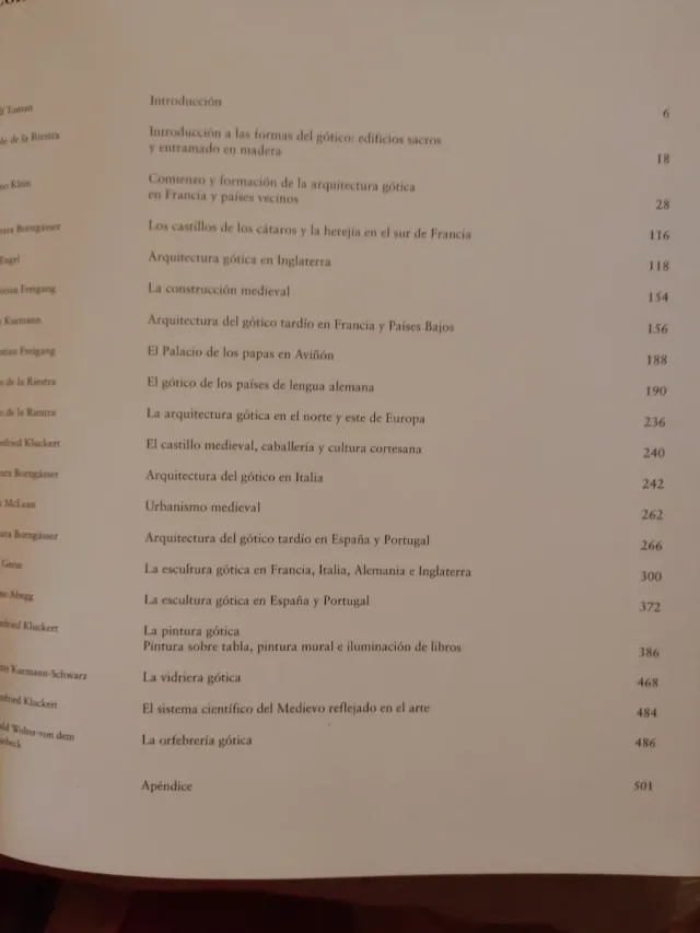 El Gótico arquitectura, escultura, pintura