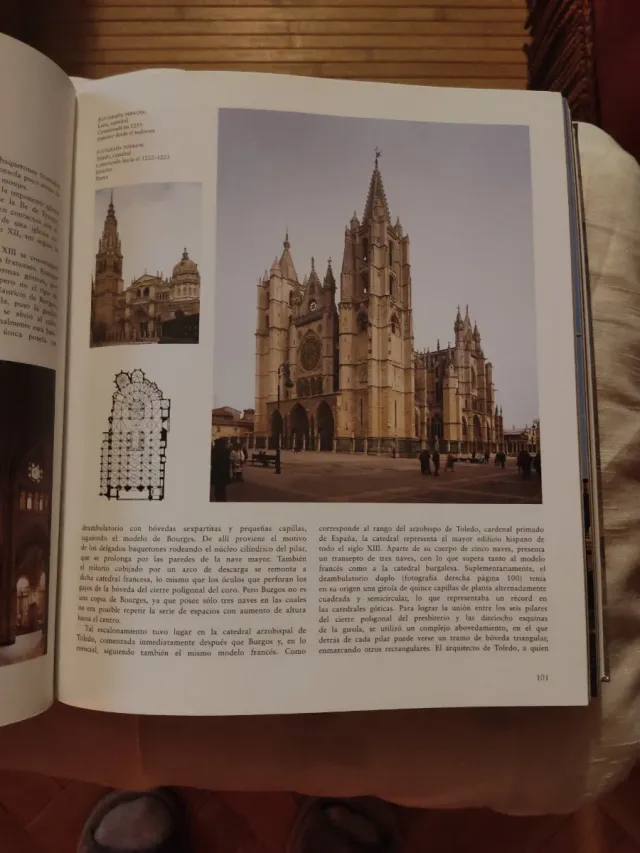 El Gótico arquitectura, escultura, pintura