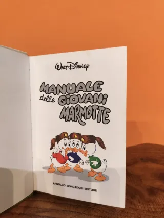 Manuale Giovani Marmotte Disney Vintage