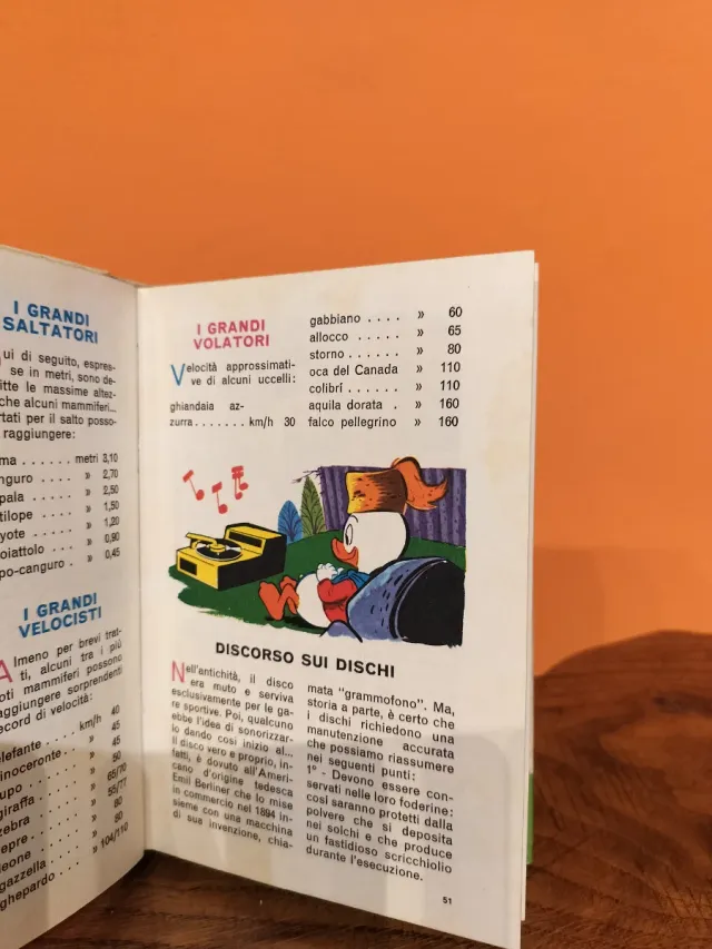 Manuale Giovani Marmotte Disney Vintage