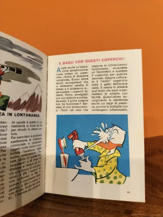 Manuale Giovani Marmotte Disney Vintage