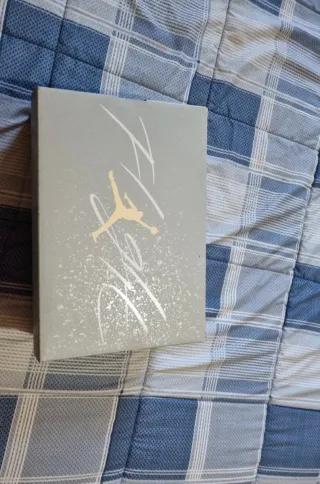 Air Jordan 4 Craft Photo Dust