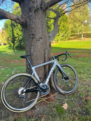 Bicicleta Carretera Ridley Falcn Rs heritage