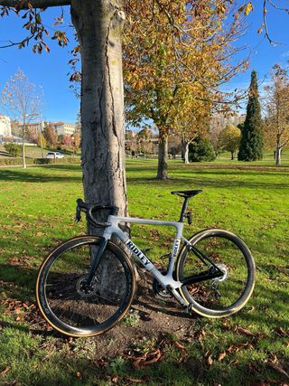 Bicicleta Carretera Ridley Falcn Rs heritage