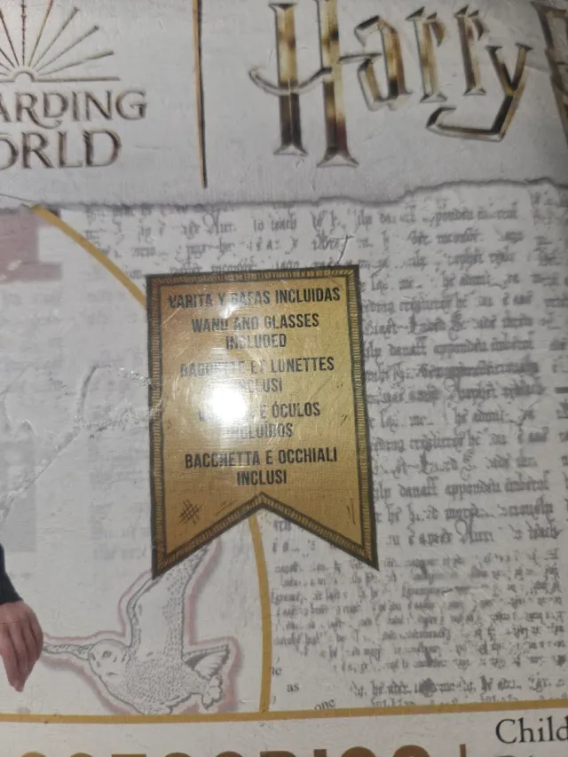 Disfraz Harry Potter con Accesorios