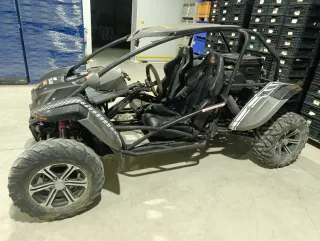 Buggys 800cc  680558438