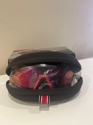 Gafas de sol Carrera x Ducati Morado/Rojo