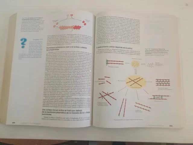 Introducción a la Biología Celular. (Spanish Ed...