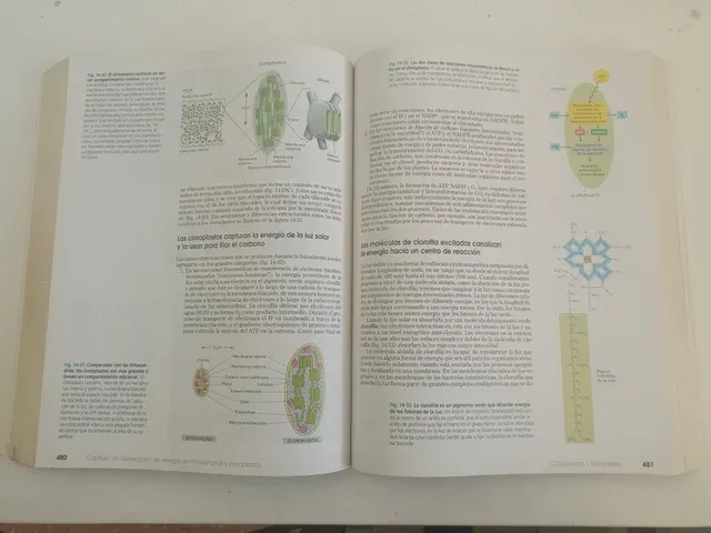 Introducción a la Biología Celular. (Spanish Ed...