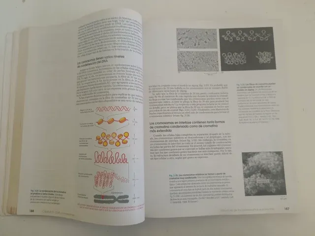 Introducción a la Biología Celular. (Spanish Ed...