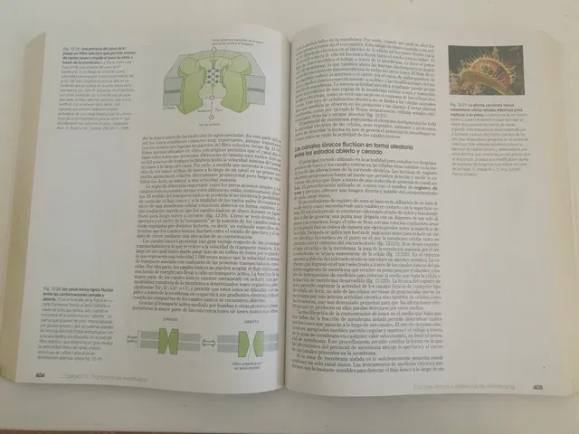 Introducción a la Biología Celular. (Spanish Ed...