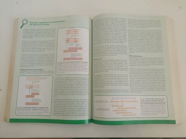 Introducción a la Biología Celular. (Spanish Ed...