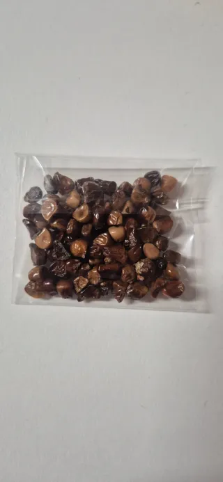 60 Semi Iris Bianco Giallo