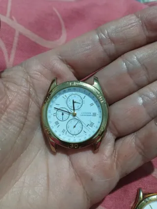 Lotes de Relojes Citizen, Lotus y Thermidor