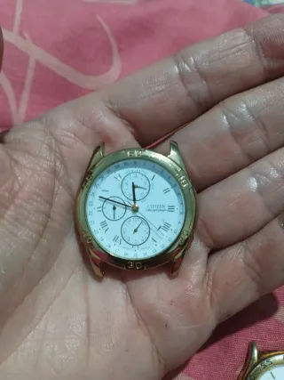 Lotes de Relojes Citizen, Lotus y Thermidor