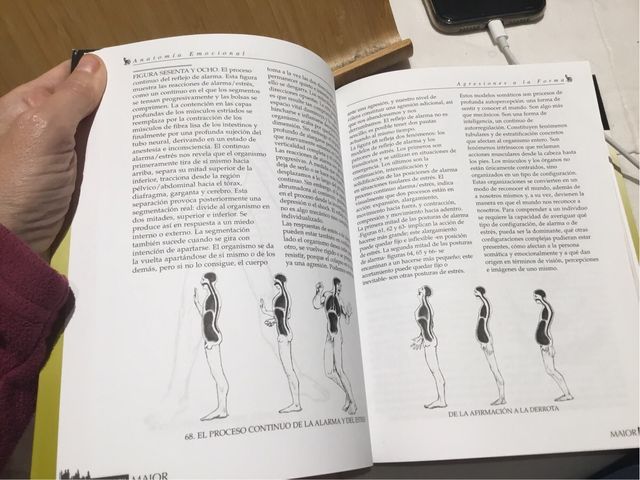 Anatomía emocional libro Stanley keleman