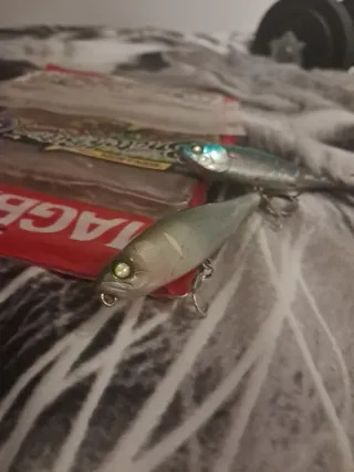 2 Paquetes Magbite y 2 Señuelos