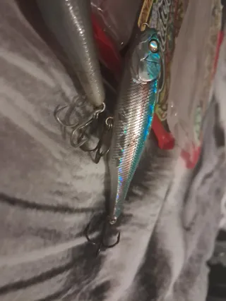 2 Paquetes Magbite y 2 Señuelos