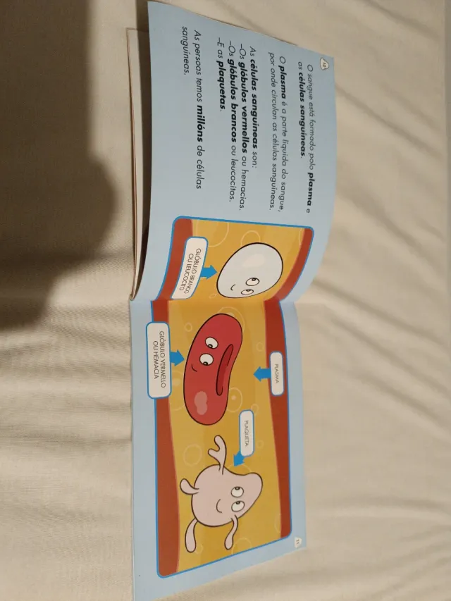 Os Bolechas Papá Bolechad Doa Sangue