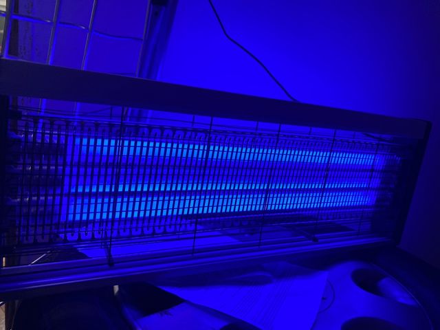 Lámpara Mata Insectos UV