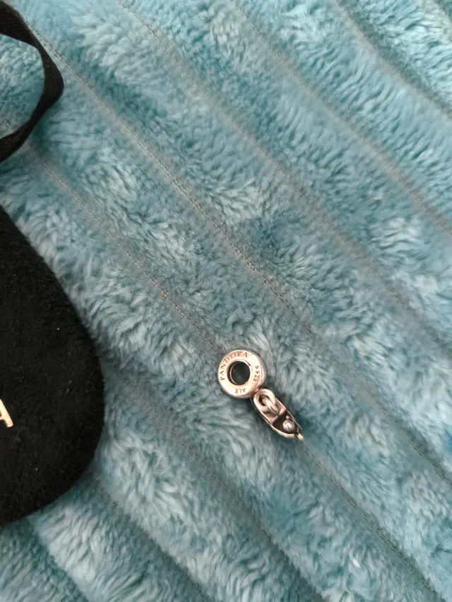 Charm Pandora exculivo venecia Plata