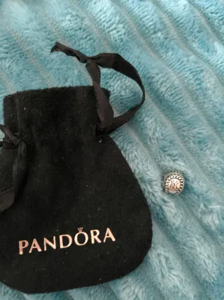 Pandora Charm Plata Exclusivo NY