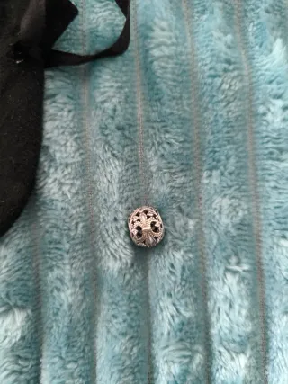 Pandora Charm Plata  exclusivo Francia